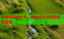 水蜜桃视频大秀：绽放夏日诱惑的视觉盛宴