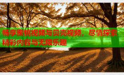 畅享蜜桃视频与贝壳视频，尽情探索精彩内容与无限乐趣