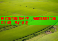 探索蜜桃视频APP：海量短视频与精彩影视，尽在掌握
